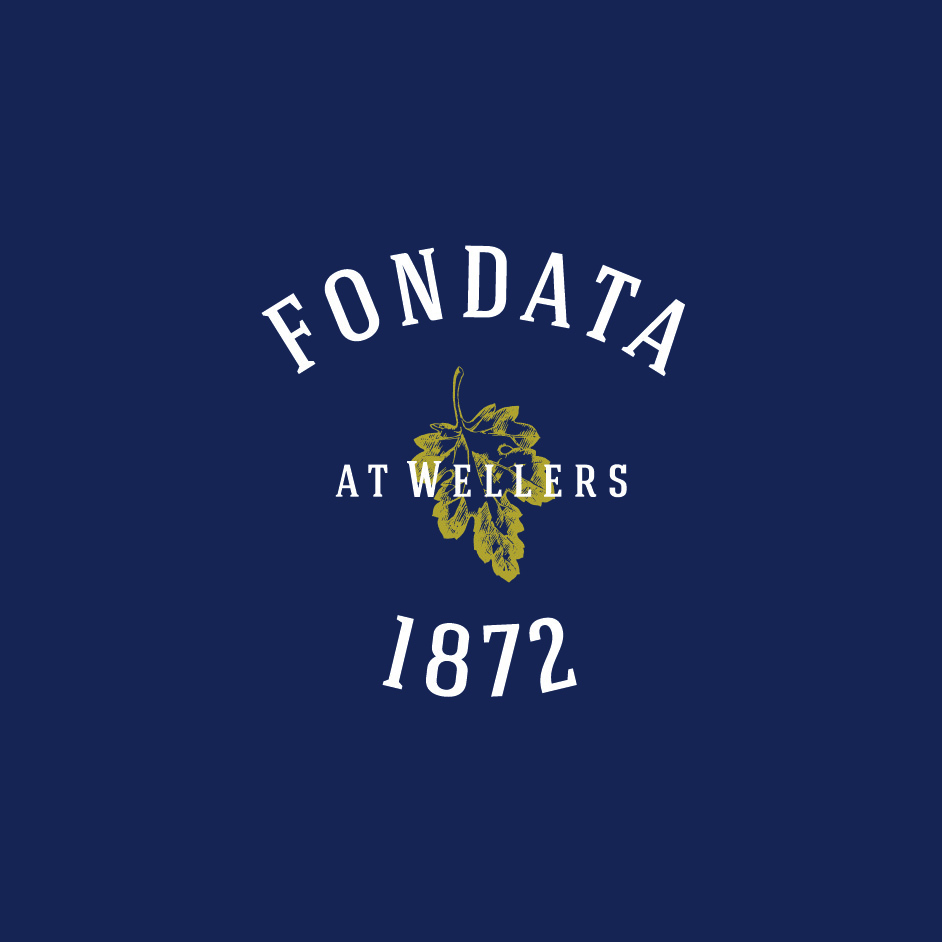 Logo-on-Blue-Fondata